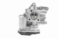 VEMO V24-63-0030 - Válvula EGR