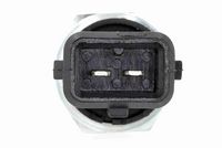 VEMO V46-72-0291 - Sensor, nivel de aceite del motor
