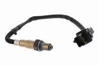 STARK SKLS0140456 - Sonda Lambda