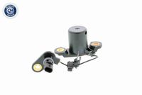 Stark SKSEE1380009 - Sensor, nivel de aceite del motor