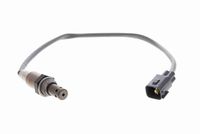SIDAT 90950 - Sonda Lambda