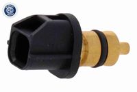 VEMO V52-72-0237 - Sensor, temperatura combustible
