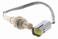 FAE 77004 - Sonda Lambda
