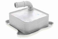 SIDAT 590084 - Radiador de aceite, aceite motor