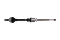 GSP 299196 - Árbol de transmisión