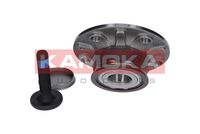 KAMOKA 5500119 - Juego de cojinete de rueda