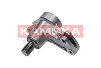 KAMOKA R0027 - Brazo tensor, correa poli V