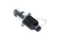 KAMOKA 19009 - Válvula EGR