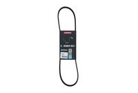 KAMOKA 7014031 - Correa trapecial poli V