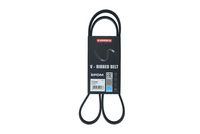 KAMOKA 7015050 - Correa trapecial poli V