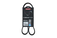 KAMOKA 7016034 - Correa trapecial poli V