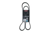 KAMOKA 7015064 - Correa trapecial poli V