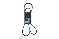 KAMOKA 7016134 - Correa trapecial poli V