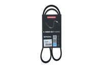 KAMOKA 7016048 - Correa trapecial poli V