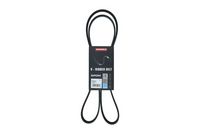 KAMOKA 7015071 - Correa trapecial poli V