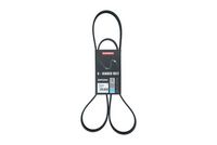 KAMOKA 7016123 - Correa trapecial poli V