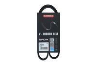 KAMOKA 7016012 - Correa trapecial poli V