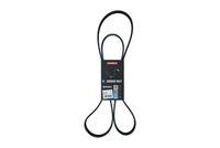 KAMOKA 7016167 - Correa trapecial poli V