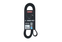 KAMOKA 7016204 - Correa trapecial poli V