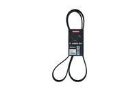 KAMOKA 7016155 - Correa trapecial poli V