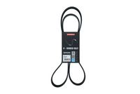 KAMOKA 7017016 - Correa trapecial poli V