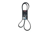 KAMOKA 7017032 - Correa trapecial poli V