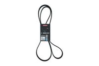 KAMOKA 7016200 - Correa trapecial poli V