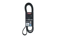 KAMOKA 7016244 - Correa trapecial poli V