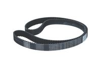 JAPANPARTS KDD811 - Juego de correas dentadas