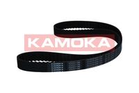 JAPANPARTS KDD231 - Juego de correas dentadas