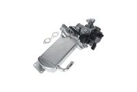 KAMOKA 19068 - Módulo EGR