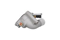 ESEN SKV 20SKV040 - Termostato, refrigerante