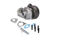 KAMOKA R0050 - Brazo tensor, correa poli V