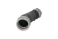 JAPANPARTS DD883 - Correa dentada