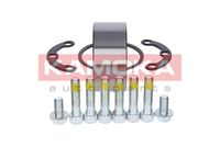 KAMOKA 5600064 - Juego de cojinete de rueda