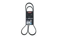 KAMOKA 7016113 - Correa trapecial poli V