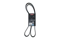KAMOKA 7016140 - Correa trapecial poli V