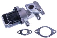 DELPHI EG1064112B1 - Válvula EGR