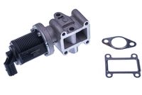 DELPHI EG1025912B1 - Válvula EGR