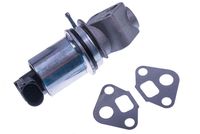 DELPHI EG1029312B1 - Válvula EGR