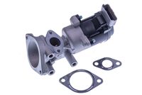 DELPHI EG1064012B1 - Válvula EGR