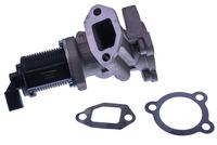 DELPHI EG1025812B1 - Válvula EGR