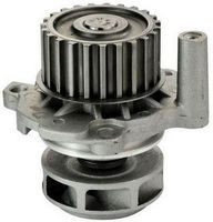 DAYCO DP028 - Bomba de agua, refrigeración del motor