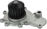 DAYCO DP241 - Bomba de agua, refrigeración del motor