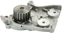 DAYCO DP066 - Bomba de agua, refrigeración del motor