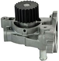 DAYCO DP243 - Bomba de agua, refrigeración del motor