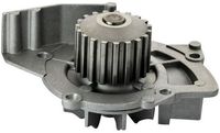 DAYCO DP063 - Bomba de agua, refrigeración del motor
