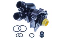 DAYCO DP751 - Bomba de agua, refrigeración del motor