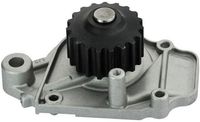 DAYCO DP019 - Bomba de agua, refrigeración del motor