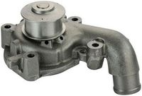 DAYCO DP069 - Bomba de agua, refrigeración del motor